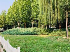 -回龙观体育文化公园