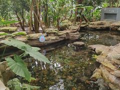 -南山植物园