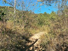 -大觉寺-停车场