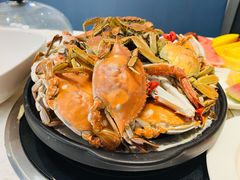 -半岛听涛蒸汽海鲜自助(K11店)