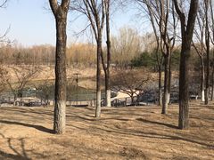 -大兴滨河森林公园