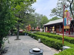 -白家大院·王府宫廷菜(苏州街店)
