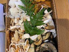 -菌歌野生菌火锅(海埂大坝店)