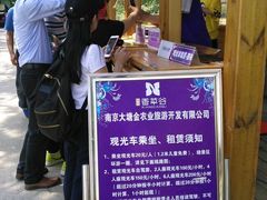 -大塘金香草谷