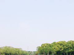 -上海鲜花港