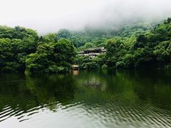 -青城山