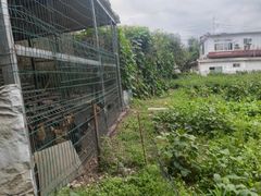 -洪湖家庭农场·团建·露营·会议