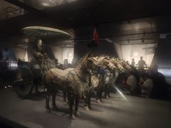 -秦始皇帝陵博物院-丽山园