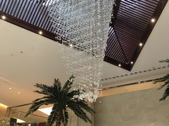 -常州环球恐龙城维景国际大酒店
