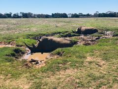 -威勒比开放式动物园