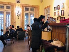 大堂-猫色咖啡·猫咖
