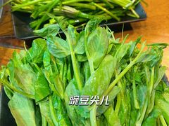 -大理.老字号渝记酸萝卜乌鱼(古城总店)