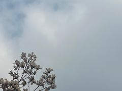-南京奥林匹克体育中心