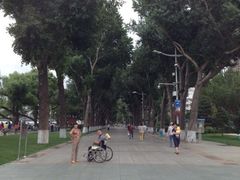 iphone_upload_pic-斯大林公园