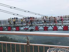 -梦幻奥陶纪景区