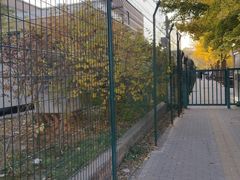 -三里屯东五街银杏大道