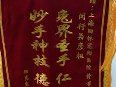 -雨林宠物医院 非犬猫异宠专科