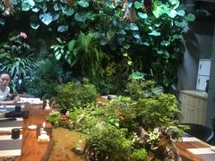 -森味薪火烧•烧鸟居酒屋•日本料理(望京店)