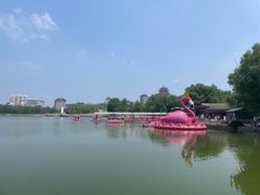 -莲花池公园