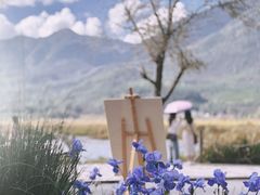 -腾冲北海湿地