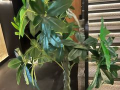 -新紫霞养生·影院足道·SPA(金山区店)