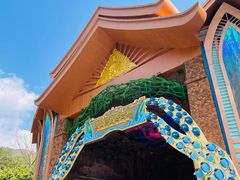 -西双版纳原始森林公园