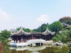 -花洲书院