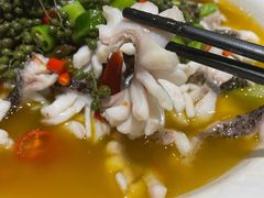 藤椒鱼-三猫黑鱼花(南大店)