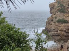 -星海湾跨海大桥