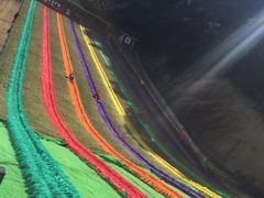 -梦幻奥陶纪景区