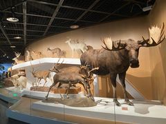 -陕西自然博物馆