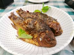 -紫光园·烤鸭(吕家营店)