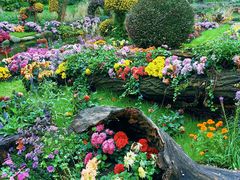 -共青国家森林公园-售票处