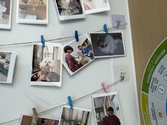 -瑞派康怡24h宠物医院·犬猫医疗中心·微创绝育(瑞景分院)