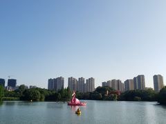 -青枫公园