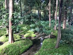 -成都市活水公园