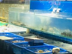 -双合园·海鲜水饺青岛菜(万佳广场店)