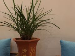 -翁暖茶馆(滨江东总店)