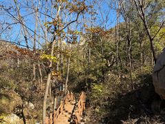 -大岭沟猕猴桃谷风景区