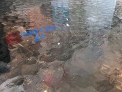 -东江海鲜酒家(艺都分店)
