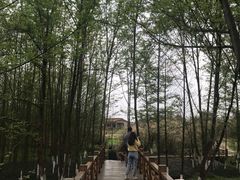 -桤木河湿地公园