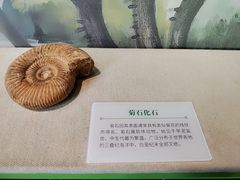 -济南植物园