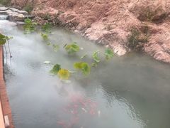 -桑干河大峡谷旅游区