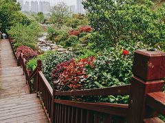 -桃花岭景区