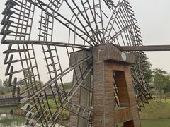 -王借岗森林公园