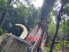 -七仙岭温泉国家森林公园