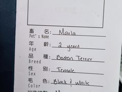 -申普宠物医院·心脏介入·心血管微创(总院)