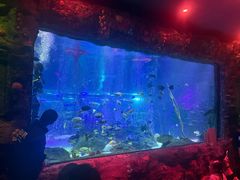 -沈阳海洋探索中心