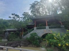 -广州神农草堂中医药博物馆