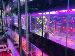 -朝来春花卉市场